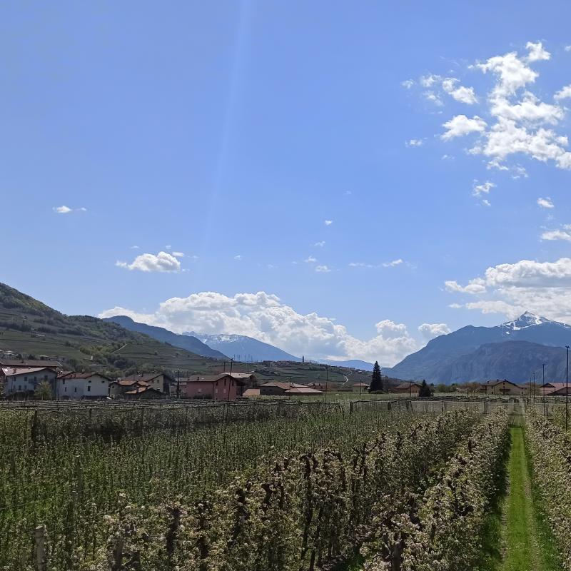 Fotosegnalazione di Nave san rocco