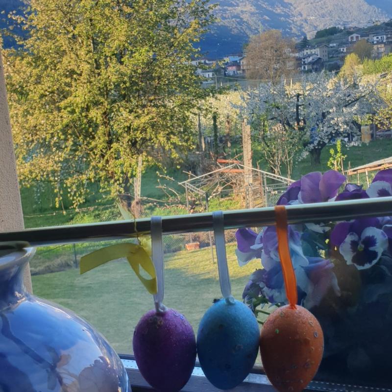 Fotosegnalazione di Villa di tirano