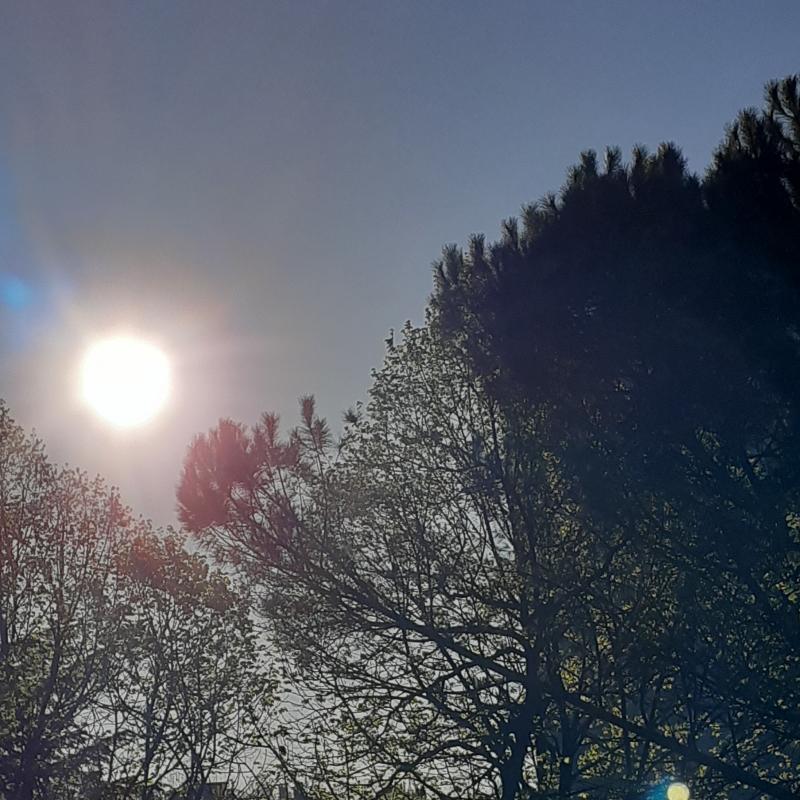 Buongiorno e buona domenica