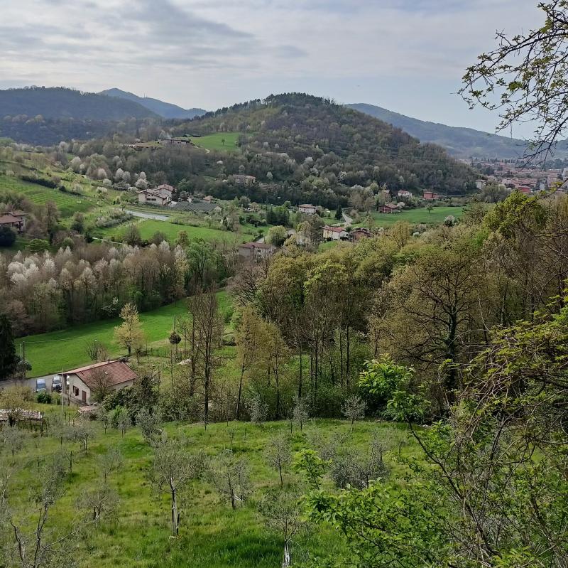 Fotosegnalazione di Trescore balneario