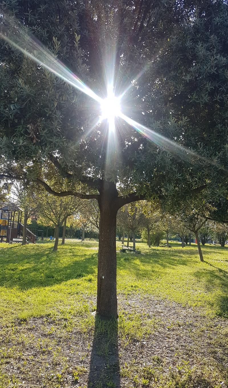 buongiorno di fine pasqua