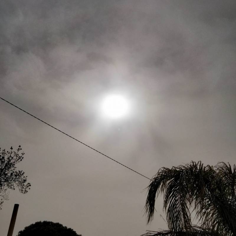 Fotosegnalazione di Nardo'
