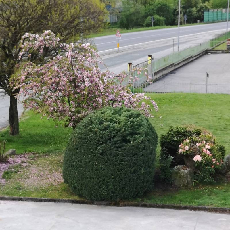 Fotosegnalazione di Villar perosa