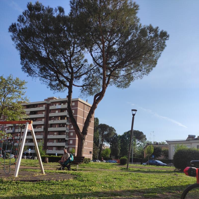 Fotosegnalazione di Roma tor cervara