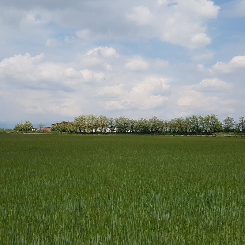 Fotosegnalazione di Verdellino