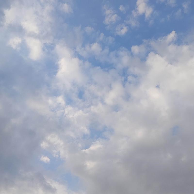 Fotosegnalazione di Origgio