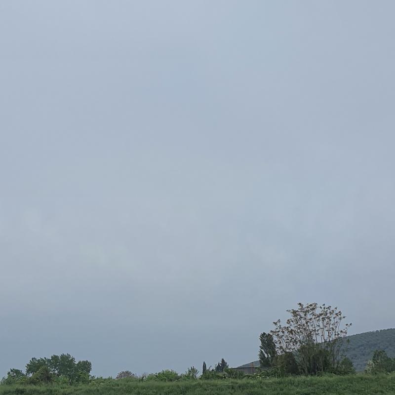 Fotosegnalazione di San giuliano terme
