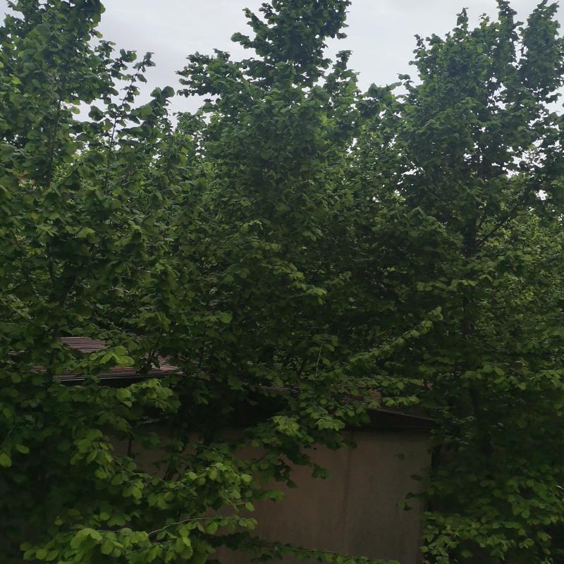 Fotosegnalazione di Avellino