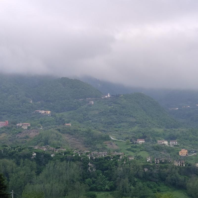 Fotosegnalazione di Tocco caudio