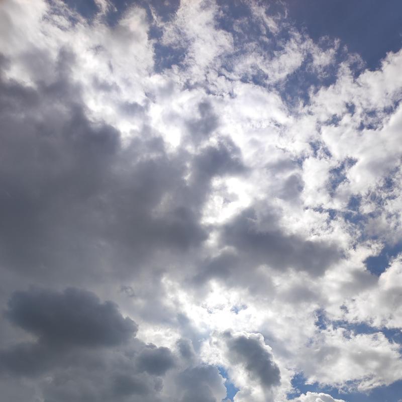 Fotosegnalazione di San giuliano terme