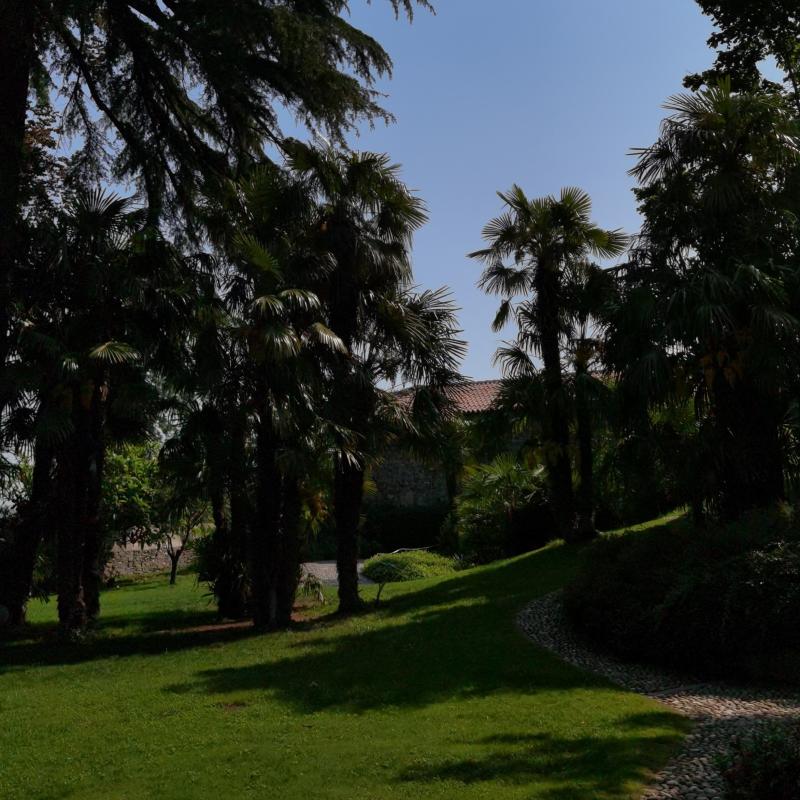 Fotosegnalazione di Rivoli