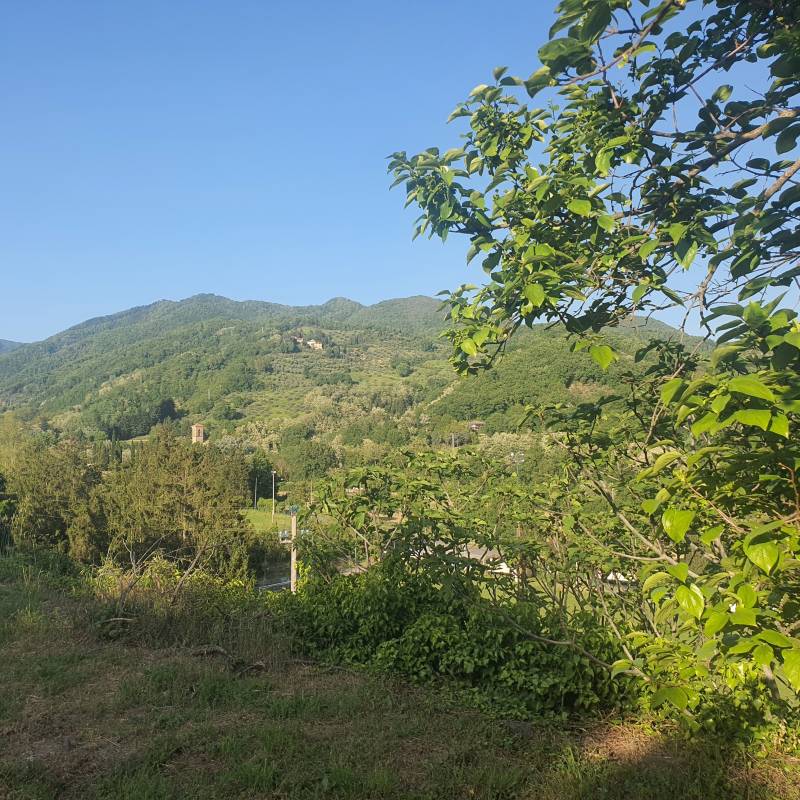 Fotosegnalazione di Borgo san lorenzo