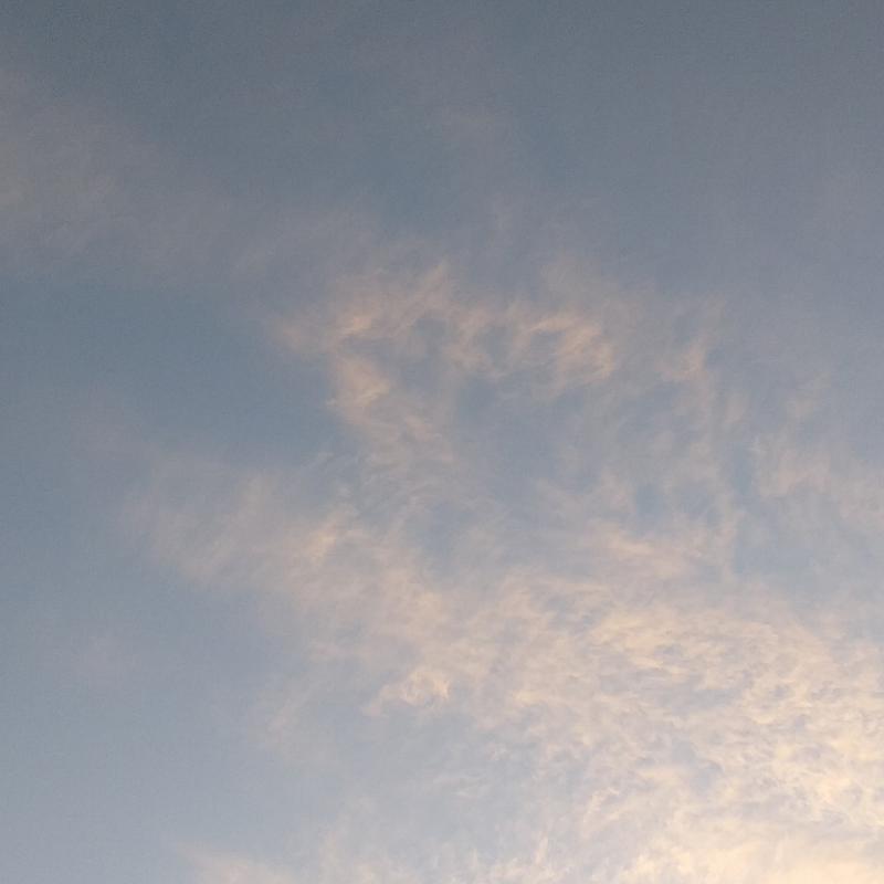 Fotosegnalazione di Terricciola