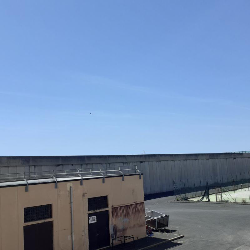 Fotosegnalazione di Civitavecchia