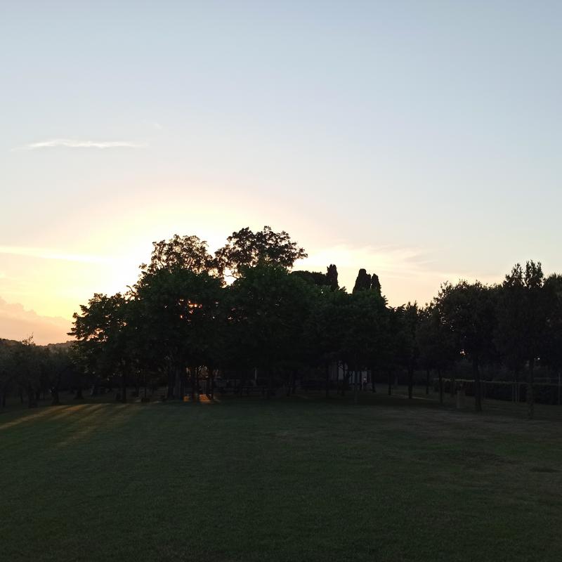 Fotosegnalazione di Civitanova marche