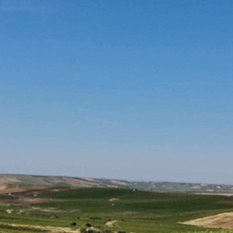 Fotosegnalazione di Mazara del vallo