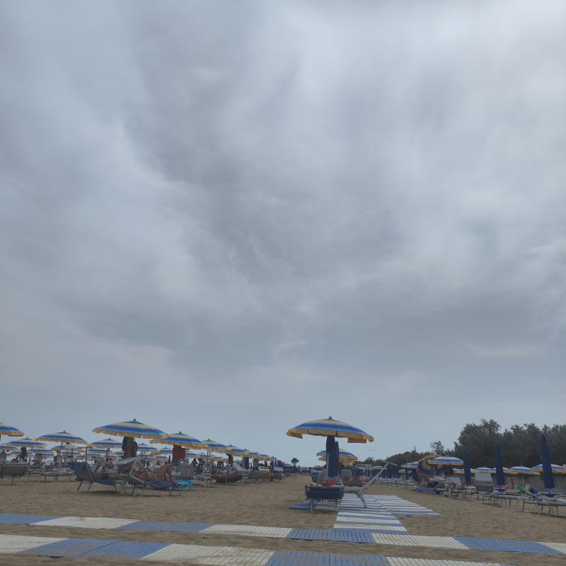 Fotosegnalazione di Lignano pineta