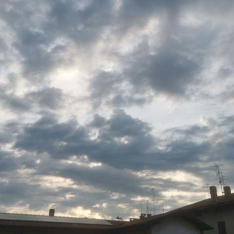 Fotosegnalazione di Lurate caccivio