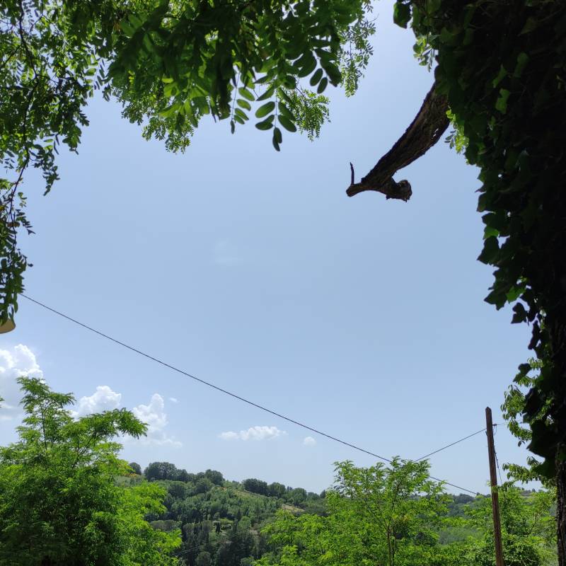 Fotosegnalazione di Montaione