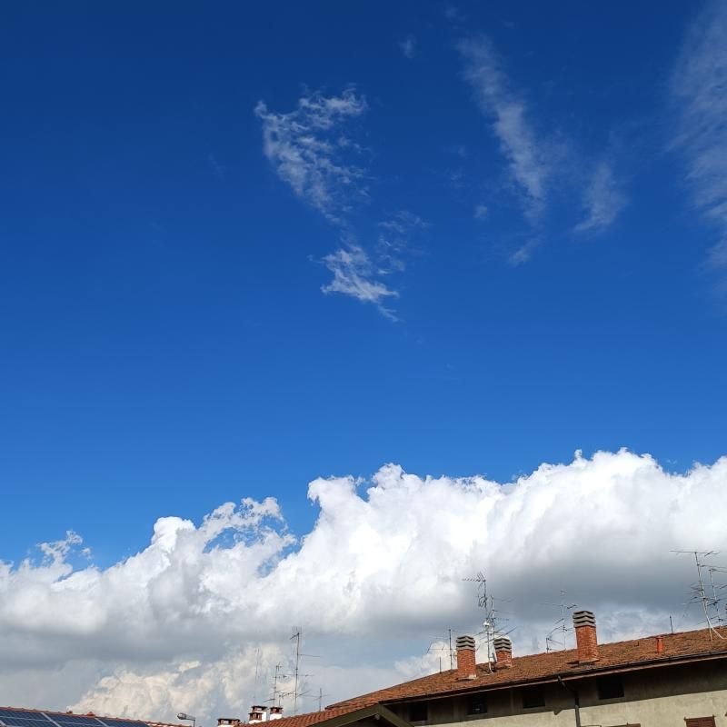 Fotosegnalazione di Lurate caccivio