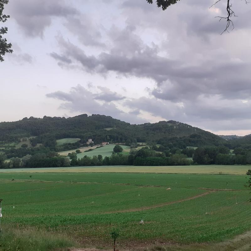 Fotosegnalazione di Gubbio