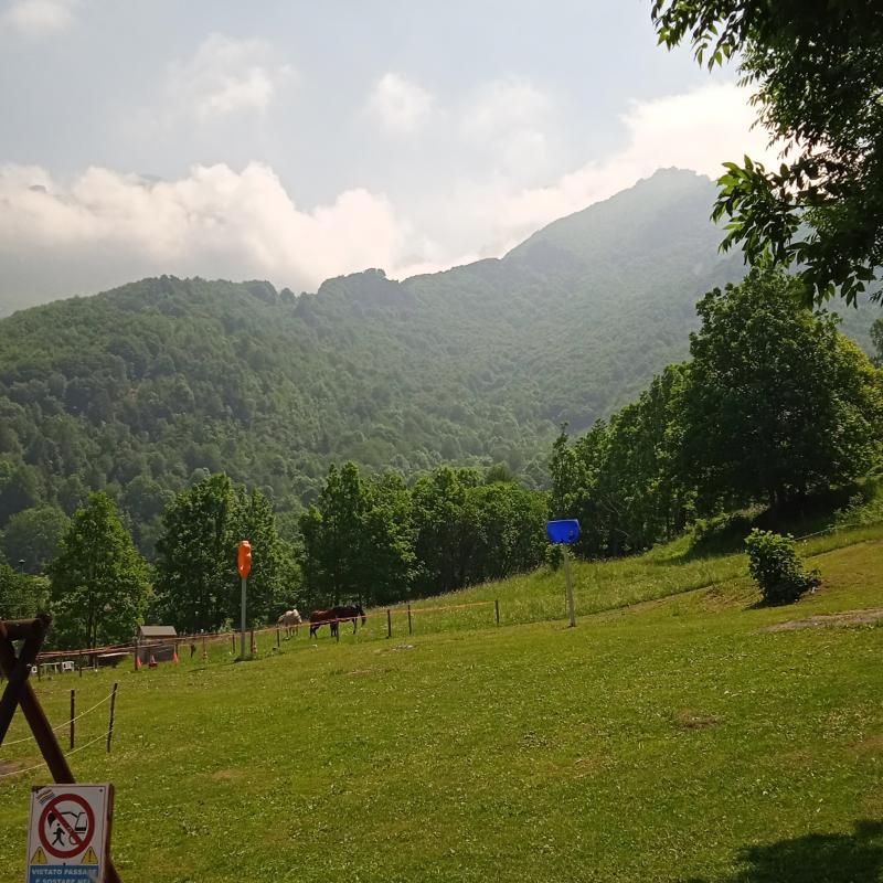 Fotosegnalazione di Limone piemonte