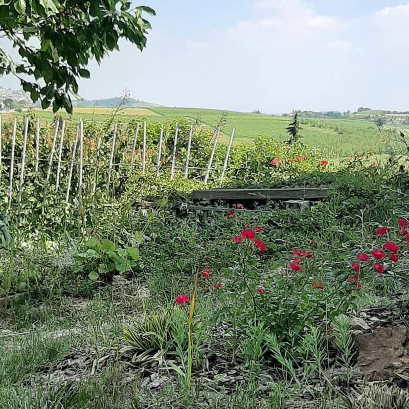 Fotosegnalazione di Casorzo