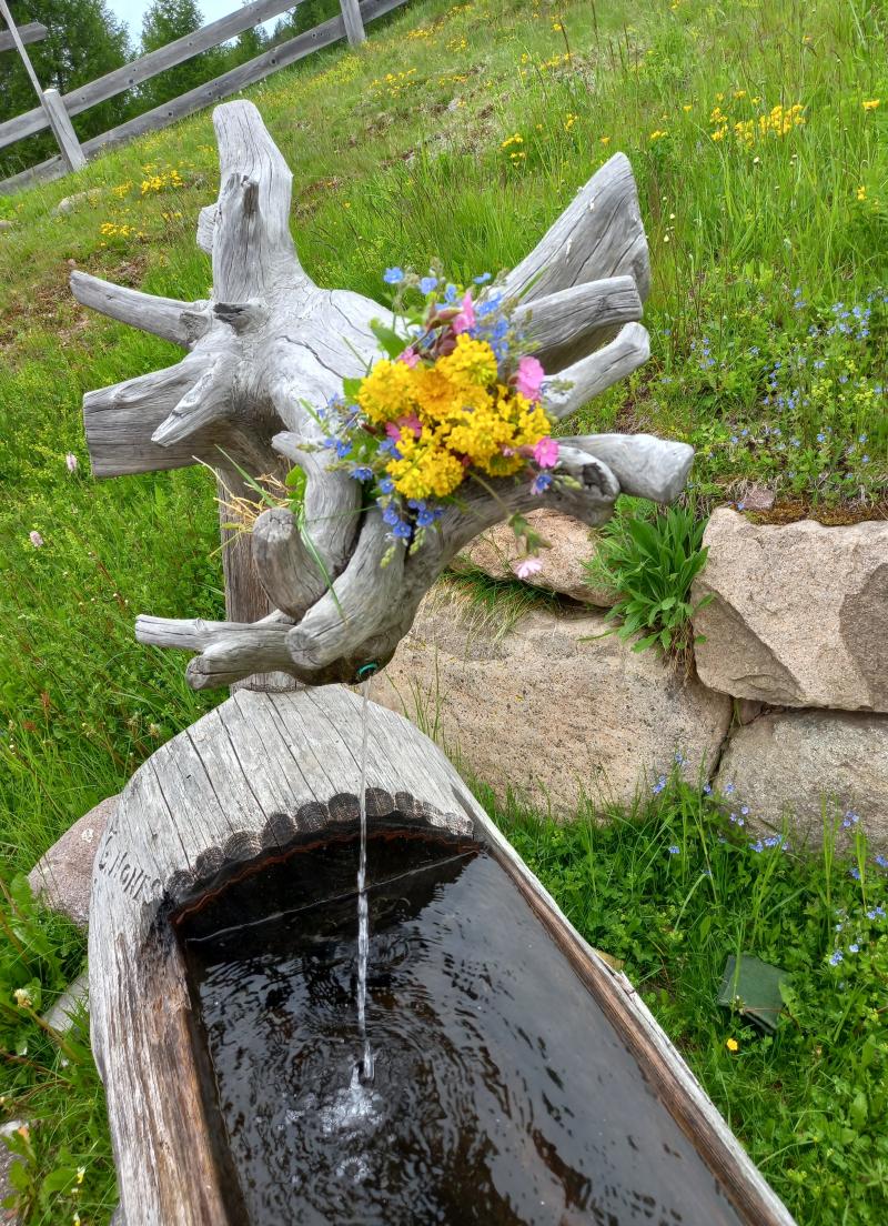 fiori raccolti a coston valfloriana