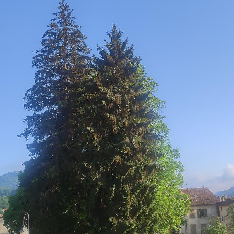Fotosegnalazione di Sassello