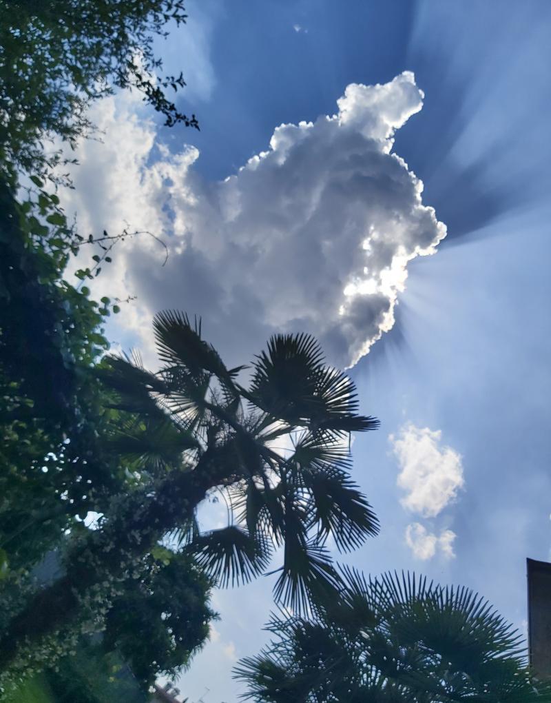 Entratico oggi sfumature di luce
