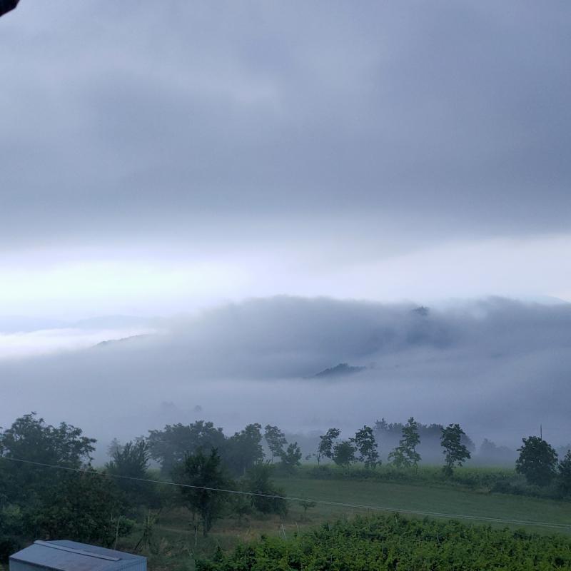 Fotosegnalazione di Colli verdi