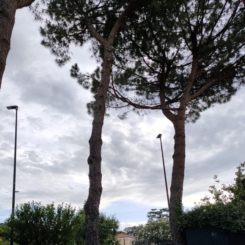 Fotosegnalazione di Villa fastiggi