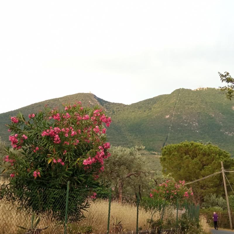 Fotosegnalazione di Palombara sabina