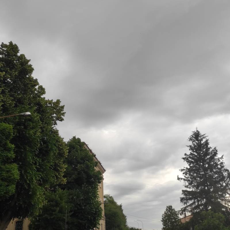 Fotosegnalazione di Tramutola