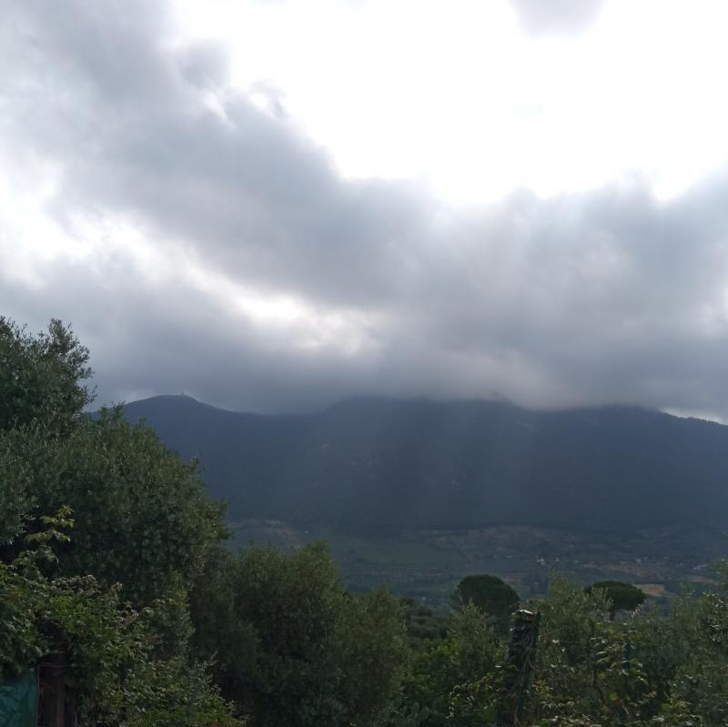 Fotosegnalazione di Palombara sabina
