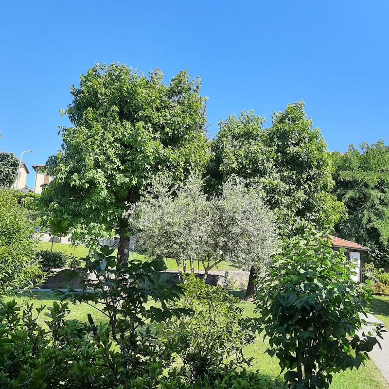 Fotosegnalazione di Mornago