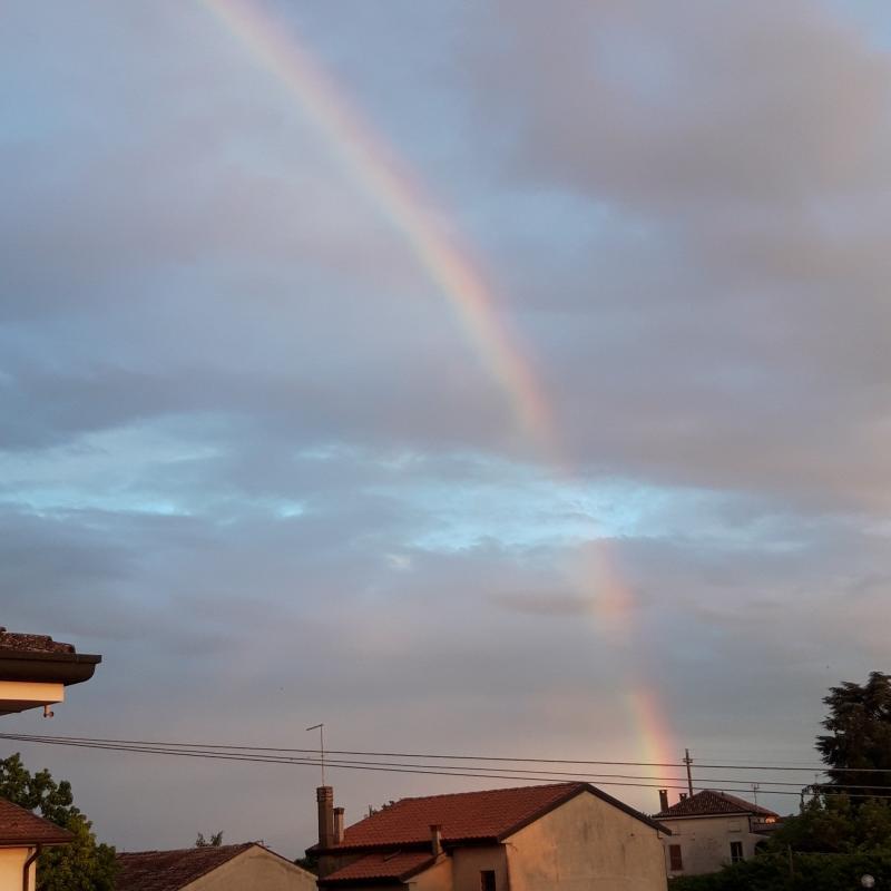 Fotosegnalazione di Bevilacqua