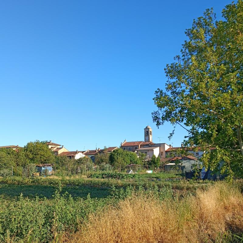 Fotosegnalazione di Gambarana