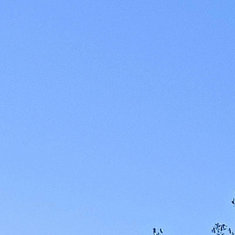 Fotosegnalazione di Fonte nuova