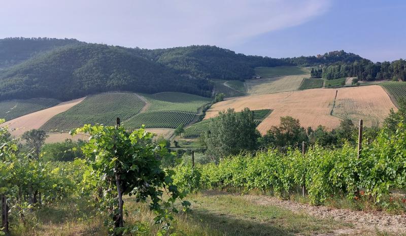 Borgo Priolo