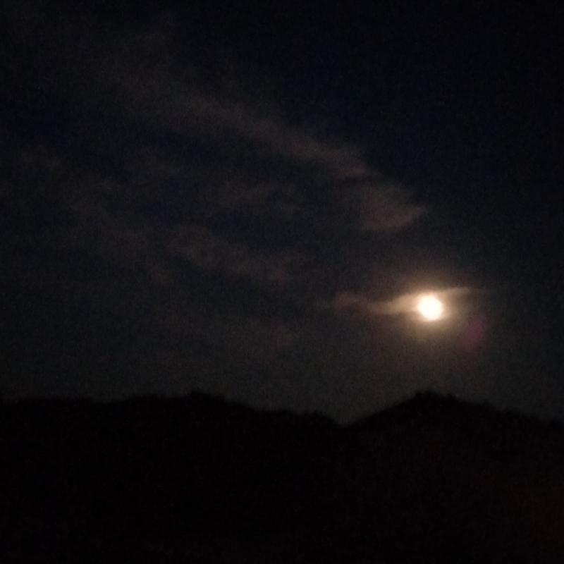 Fotosegnalazione di Neviano degli arduini