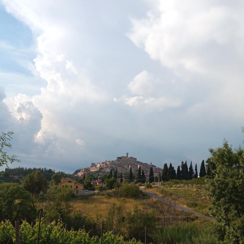 Fotosegnalazione di Palombara sabina