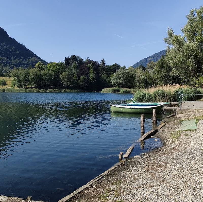 Fotosegnalazione di Spinone al lago