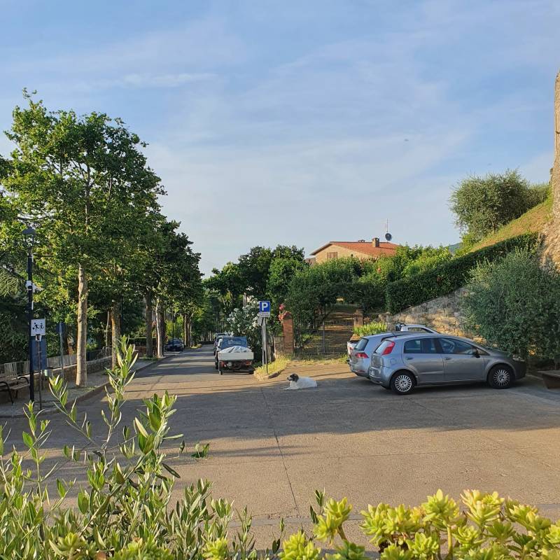 Il madonnino viale roma belforte