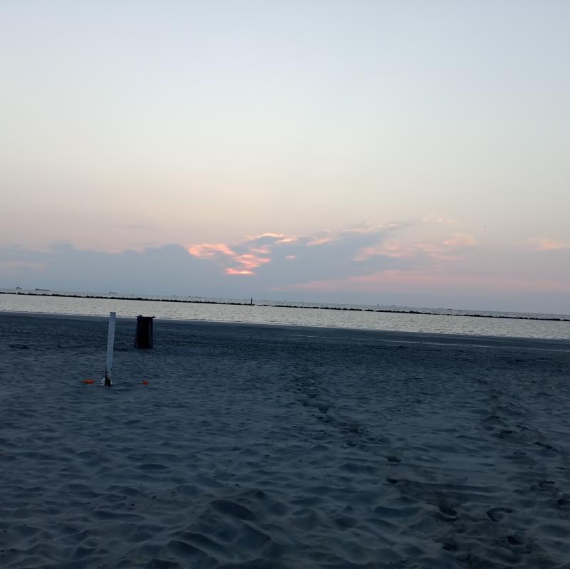 Fotosegnalazione di Punta marina