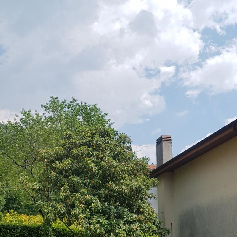 Fotosegnalazione di Gemona del friuli