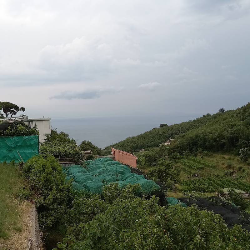 Fotosegnalazione di Vietri sul mare