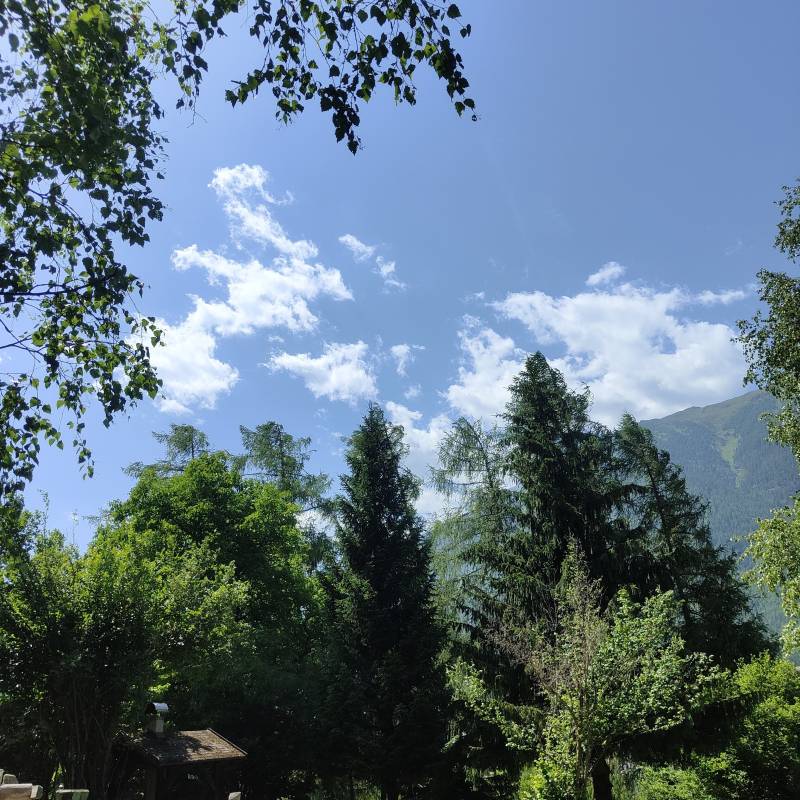 Fotosegnalazione di Dimaro folgarida
