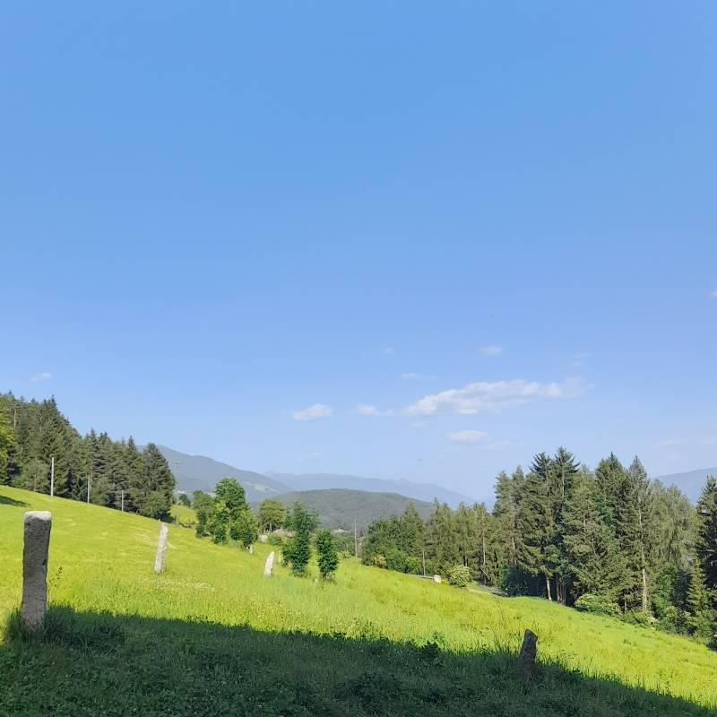 Fotosegnalazione di Terento
