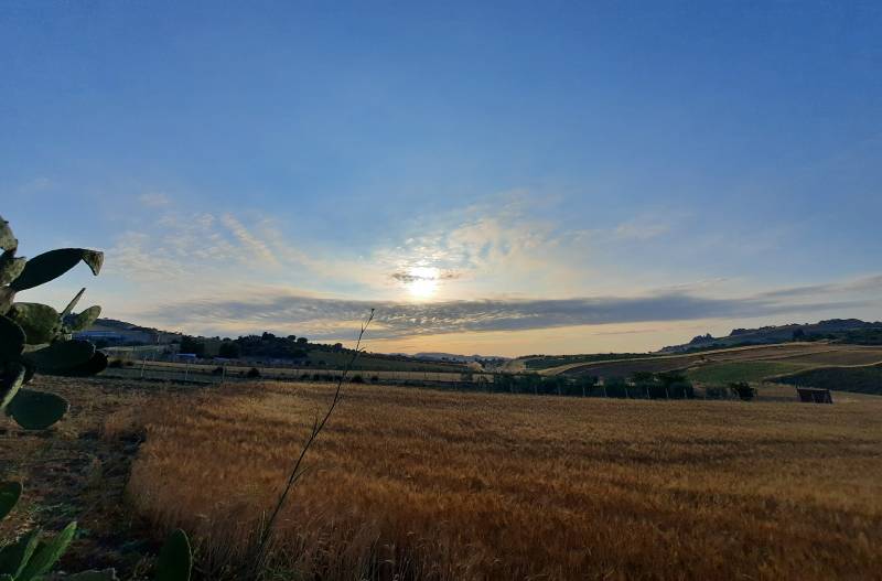nembi all'alba